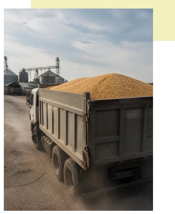 Перевозка сельхозпродукции навалом в Железнодорожного по цене от 3076 р. | Агросервис-Жлз